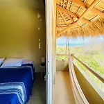 Bonobo Living Apartments
