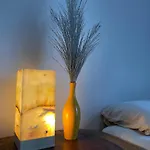 Gran Descuento Por Apertura