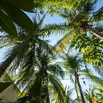 Hotel Villa Mozart Y Macondo