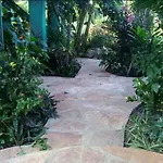 La Casa Del Arbol