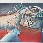 Vivo Escondido