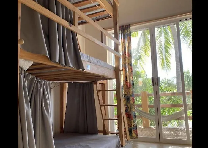 La Palmera Hostel
