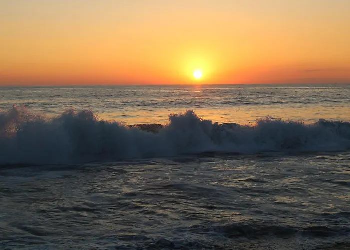 Surf Paradise Zicatela