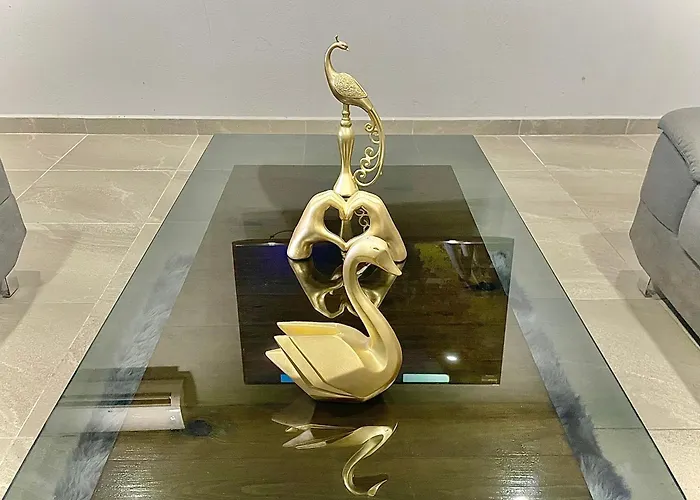 Gran Descuento Por Apertura