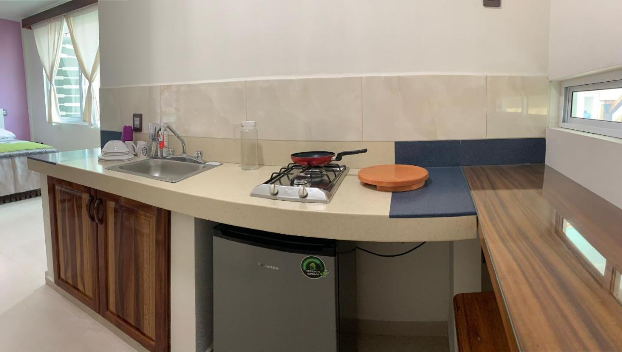 Aparthotel Lidxi Rosae *