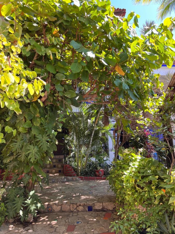 Casa Terranova (adults Only) 2*