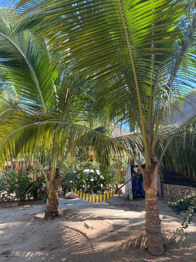 Punta Paraíso Cabanas * Puerto Escondido (Oaxaca)