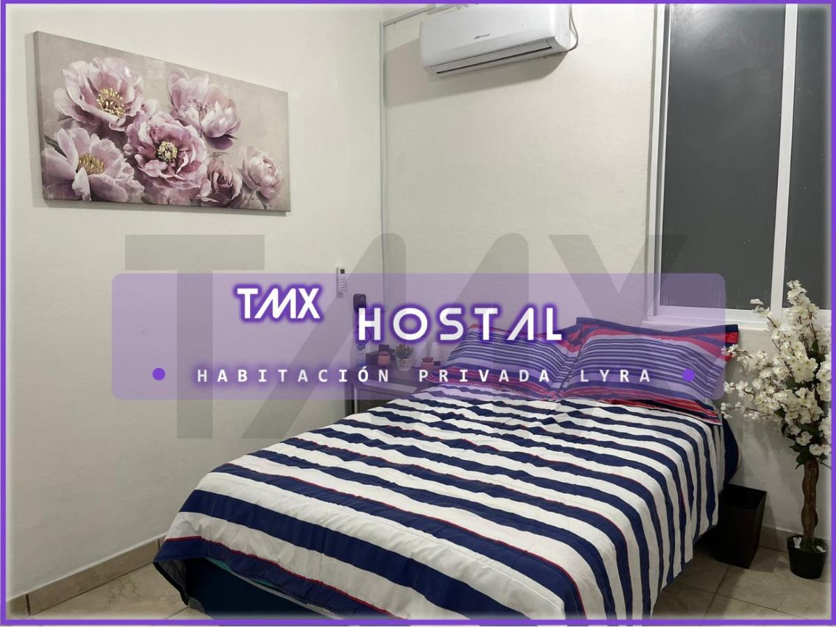 Guest house Tmx *