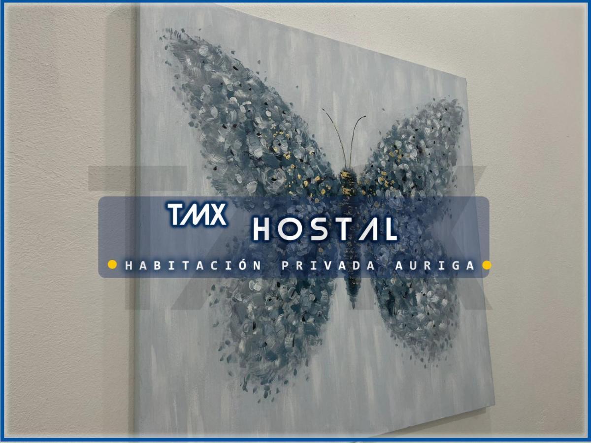Tmx Guest house