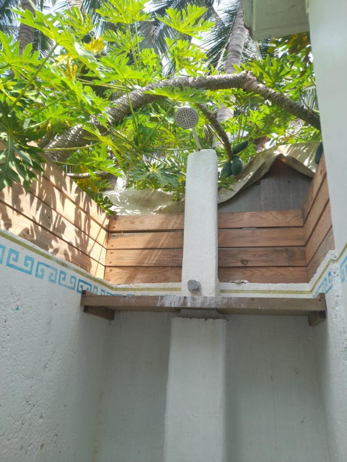 Pensión Punta Paraíso Cabanas