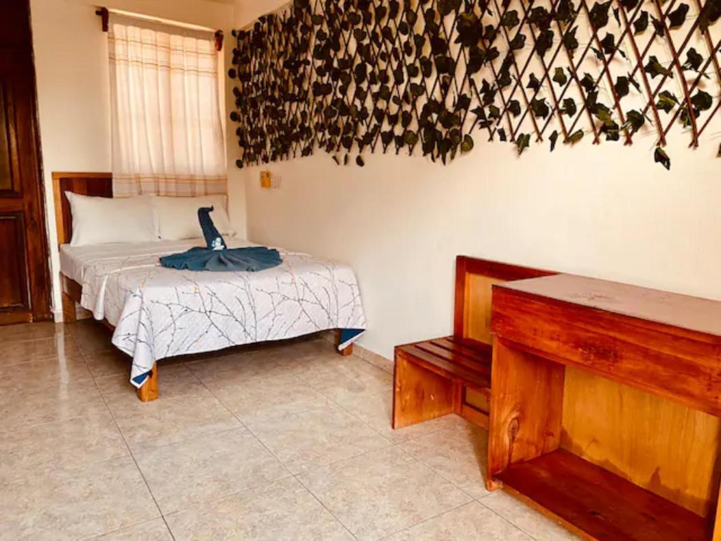 Hotel Ximajo Nieto