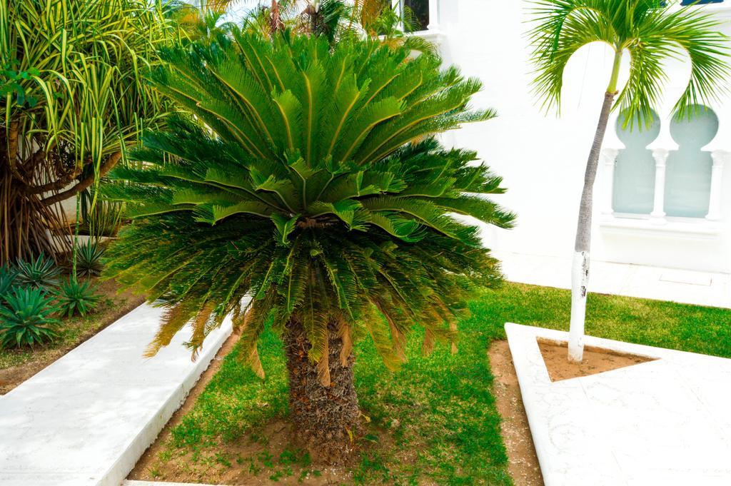 Aldea Del Bazar&spa Hotel