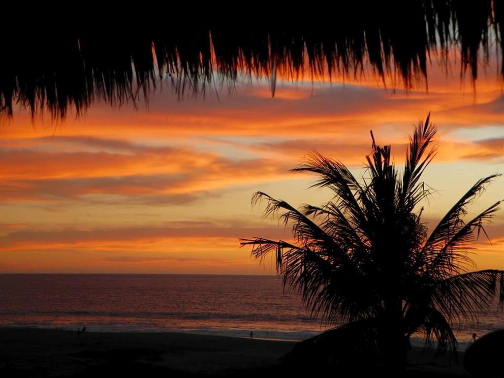 Mexicana Zicatela Puerto Escondido (Oaxaca)