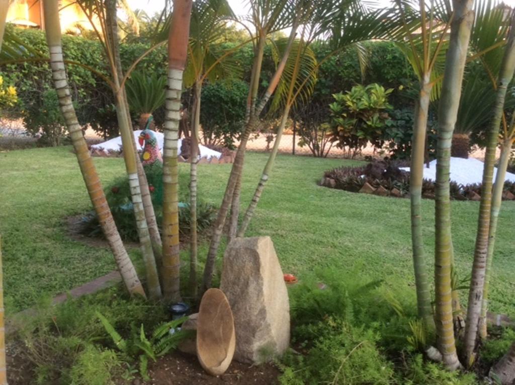 Mexicana Zicatela Puerto Escondido (Oaxaca)