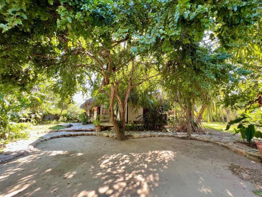 Casa Kuul, Elegant Fusion Of House And Garden. Puerto Escondido (Oaxaca)