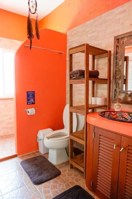 Casa Bibi Ac Wifi Starlink Kitchen Fully Equipped Swimming Pool Hot Water