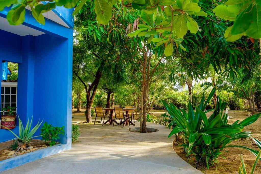 Casa Bibi Ac Wifi Starlink Kitchen Fully Equipped Swimming Pool Hot Water Villa