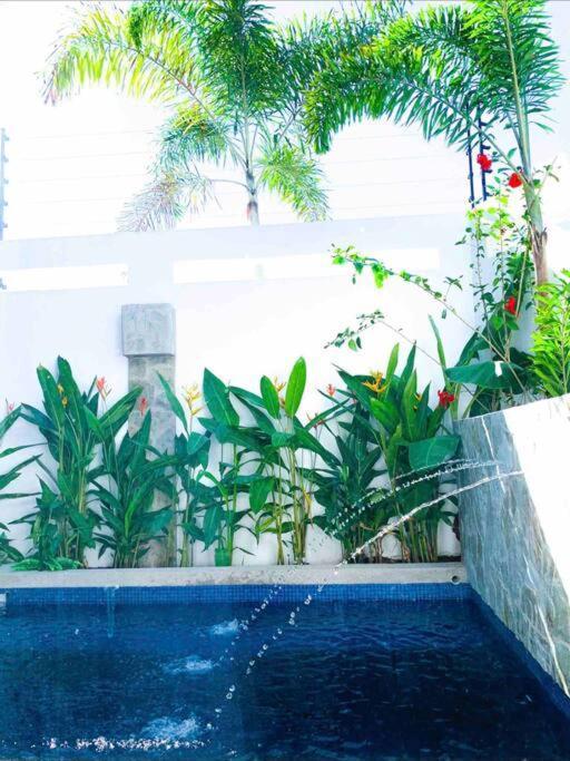 Villa La Punta, 2 Bedroom Beach Bungalow With Private Pool & Starlink *
