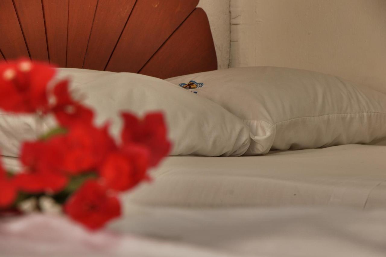 Y Acuario Hotel 2*