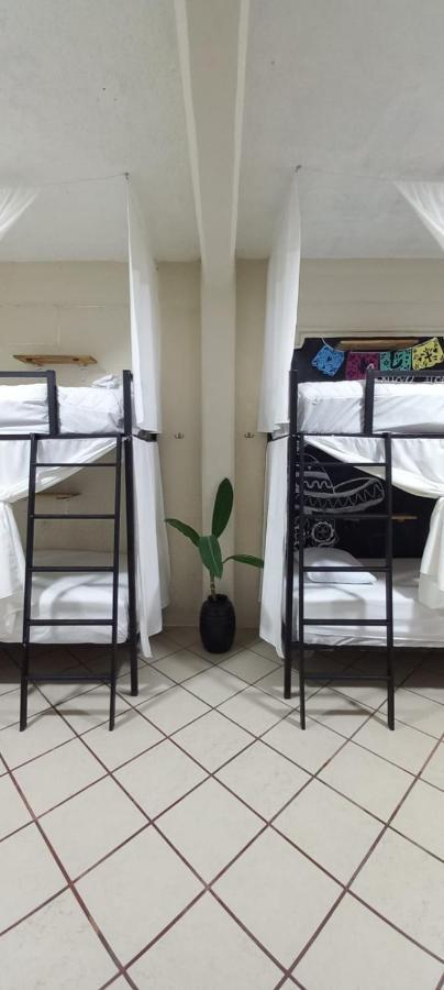 Guest house Chante