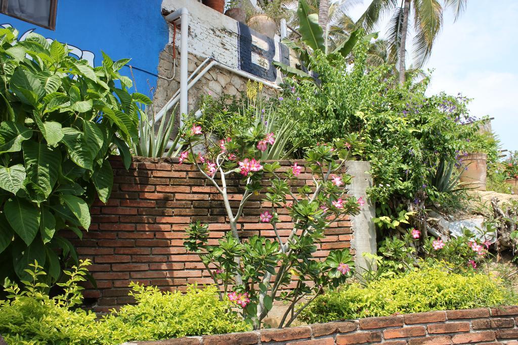 Hotel Buena Vista Puerto Escondido (Oaxaca)
