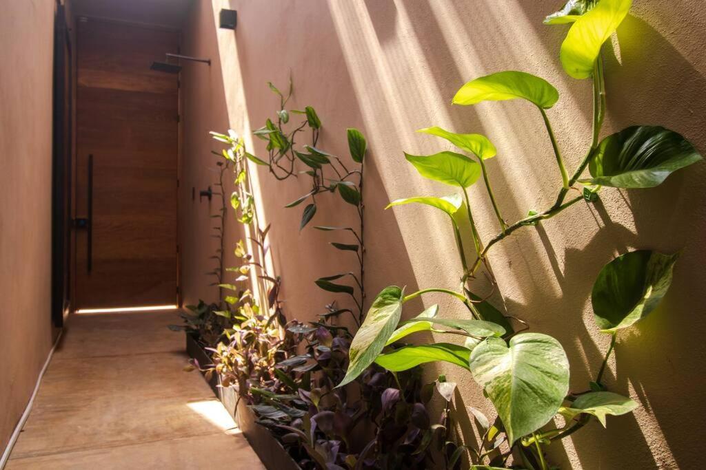 Casa Dakini En La Punta With Pool And Ocean View *