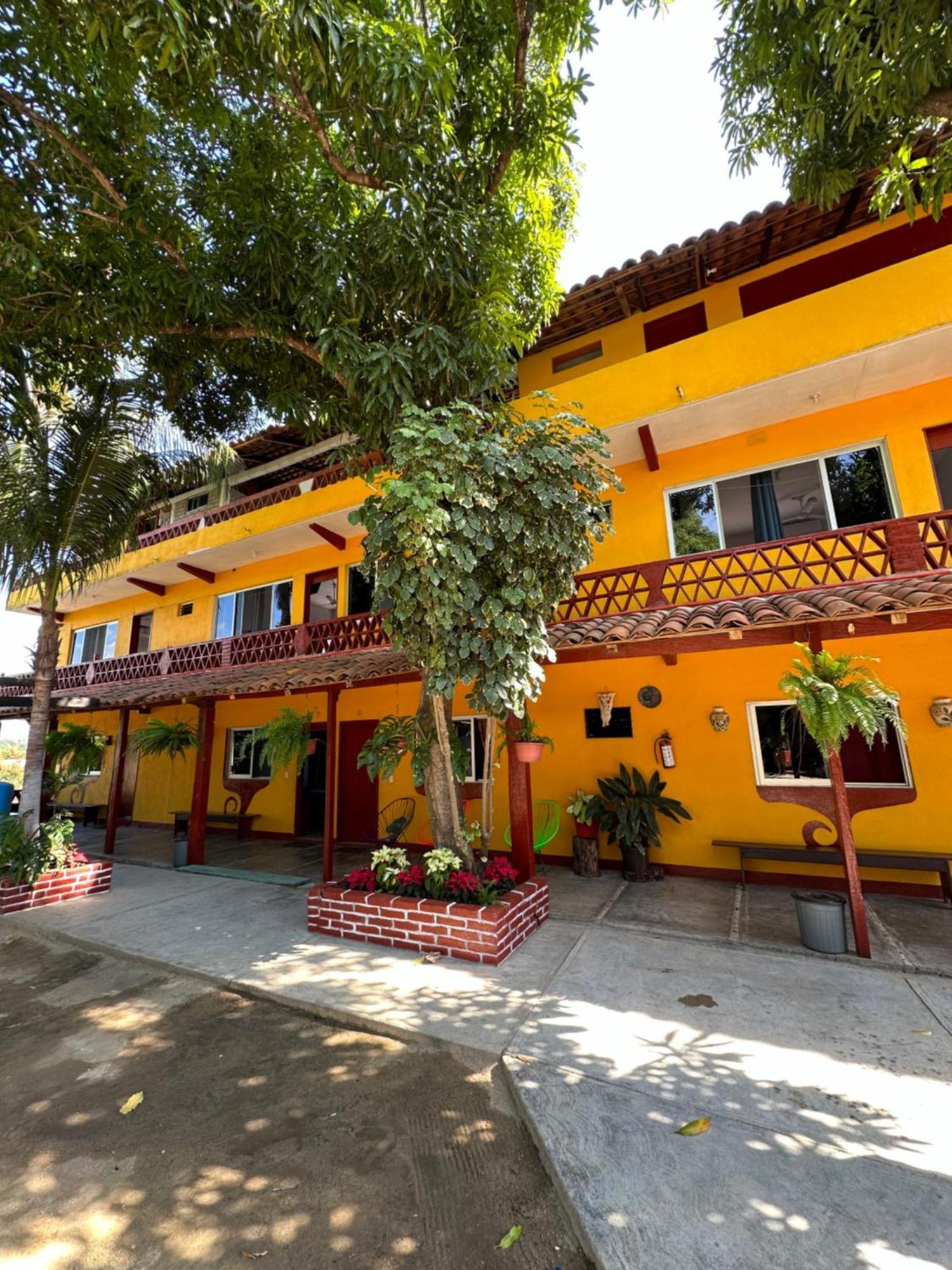 Pepe Puerto Escondido (Oaxaca)