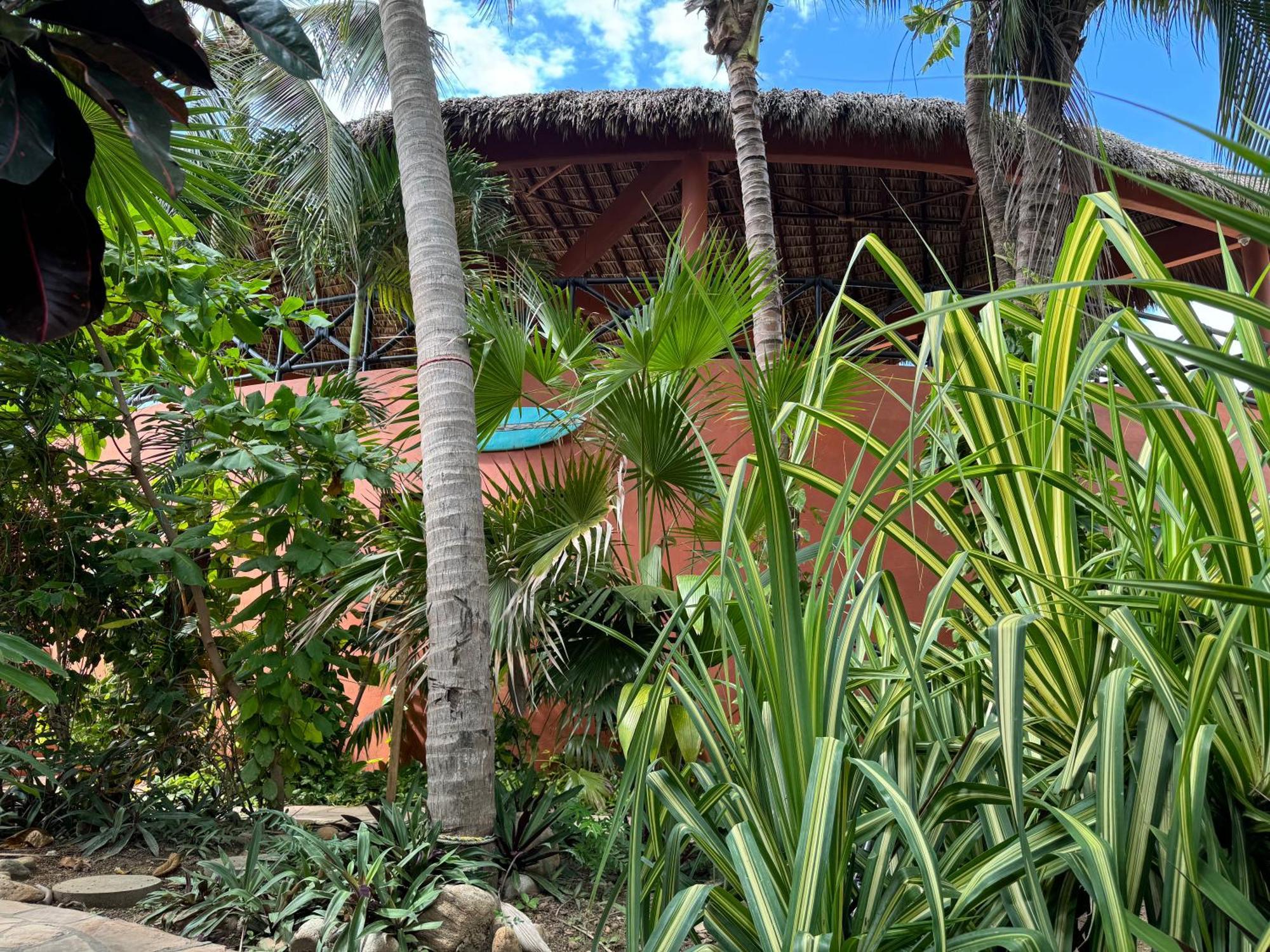 One Puerto Escondido