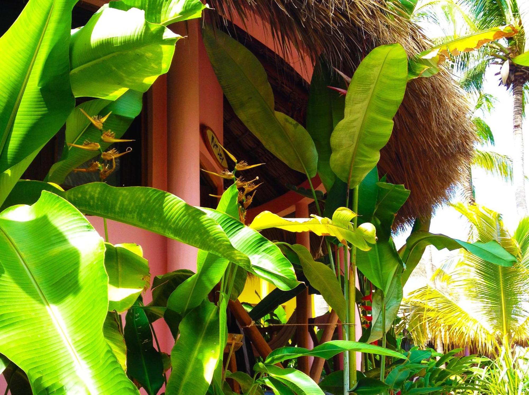 One Puerto Escondido