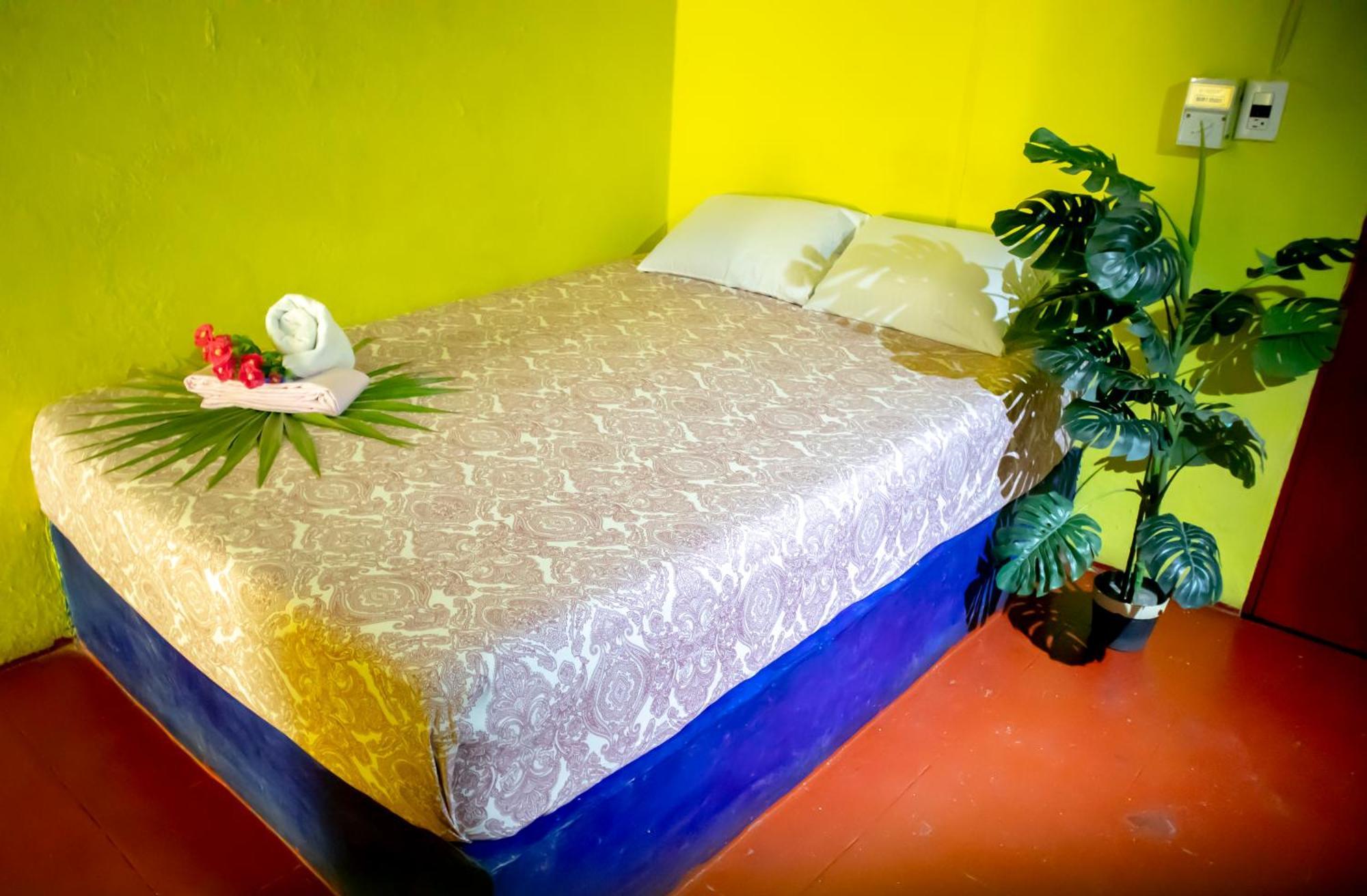 Hostel Shalom