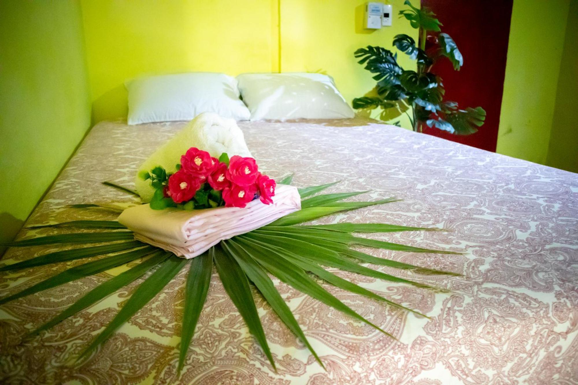 Hostel Shalom