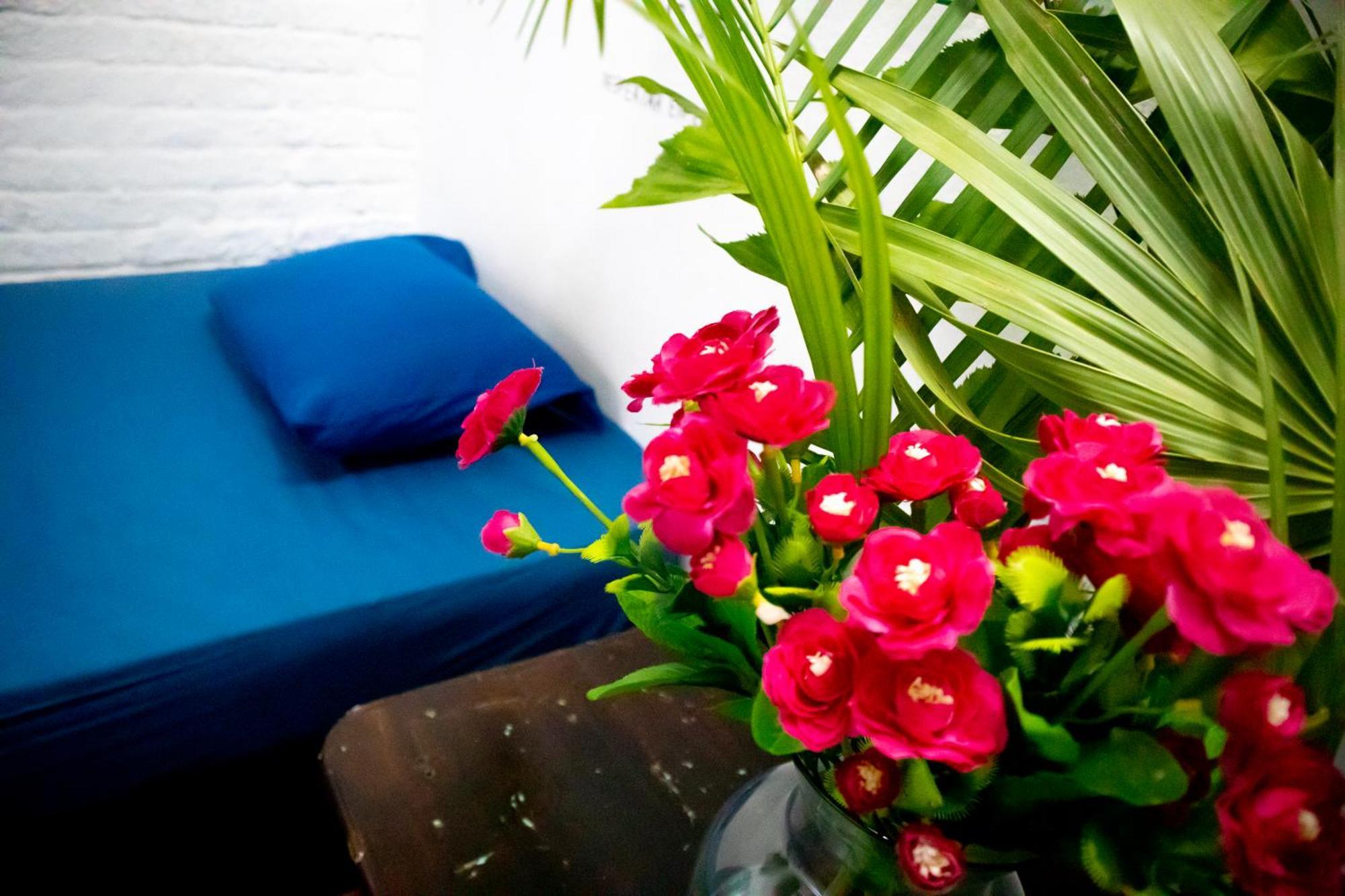 Shalom Hostel *