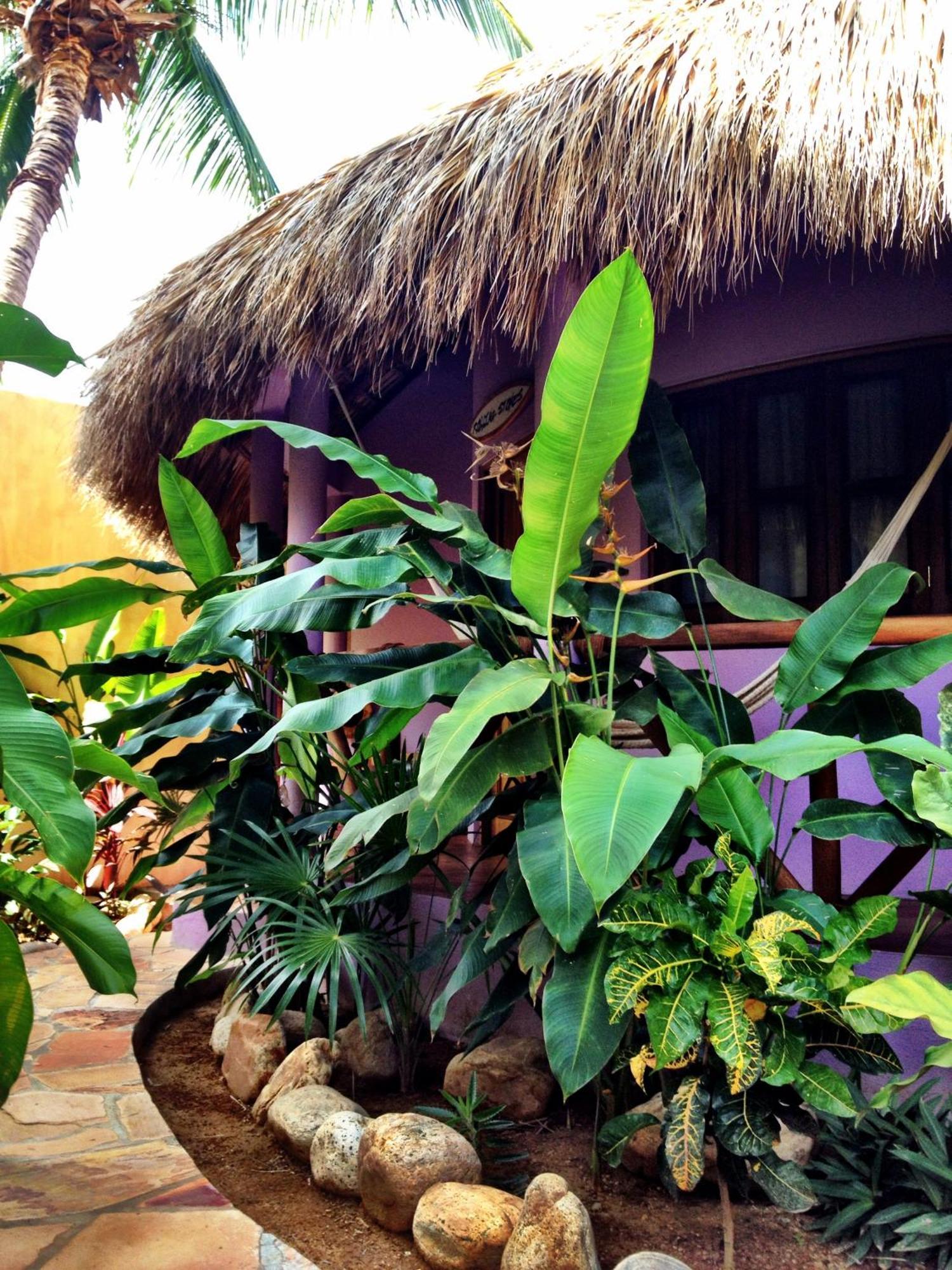 Apartahotel One Puerto Escondido Puerto Escondido (Oaxaca)