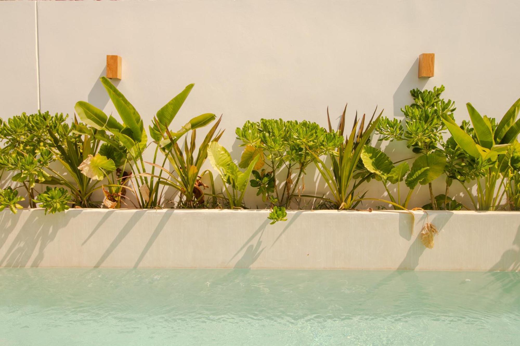 Casa Raffaella Modern With Ac Pool Starlink Apartment Puerto Escondido (Oaxaca)