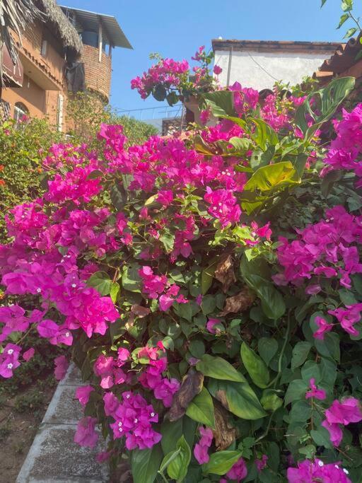 Сasa de vacaciones Casa Johanna In Rinconada Puerto Escondido (Oaxaca)