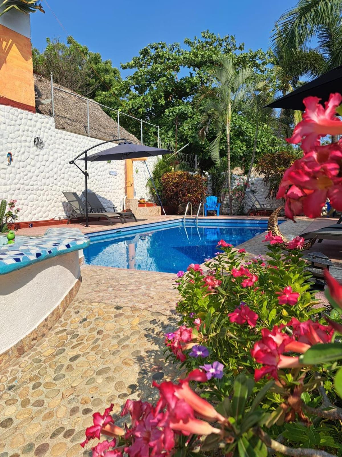 Hotel Hotelito Swiss Oasis, Playa Zicatela - Adults Only - Kitchen - Cocina 3*