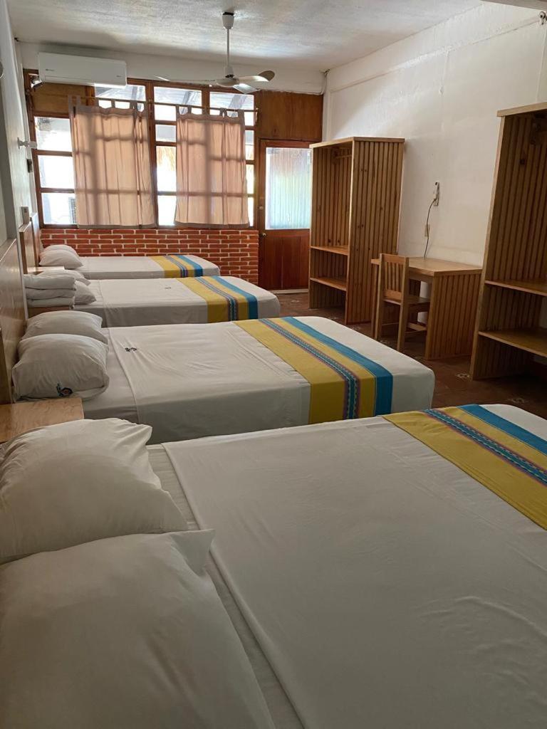 Y Acuario Hotel 2*
