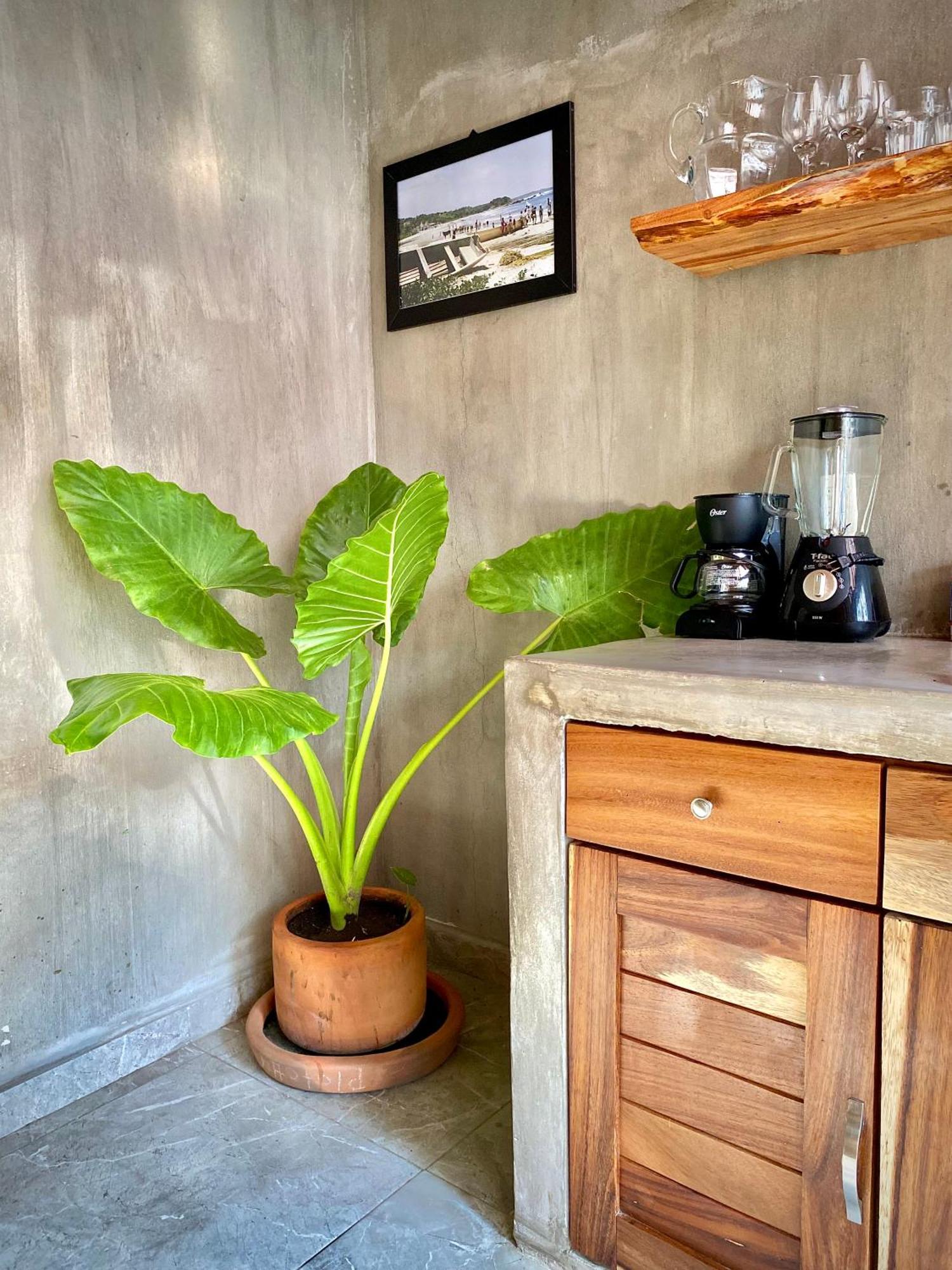 Casa Wil, La Punta De Zicatela With Wifi Starlink Apartamento *
