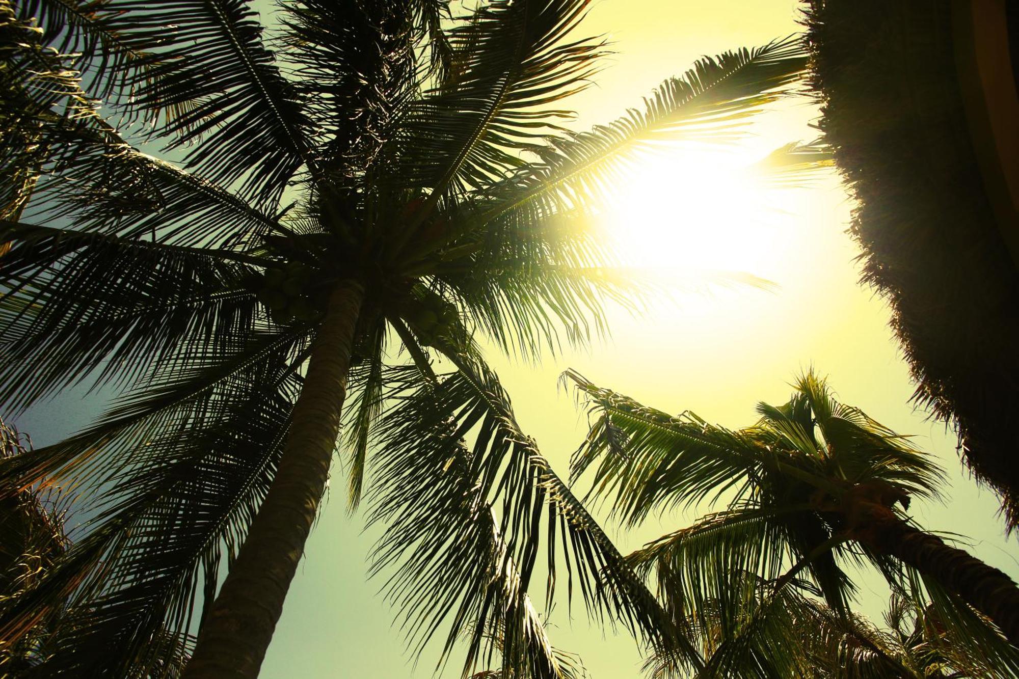 One Puerto Escondido *