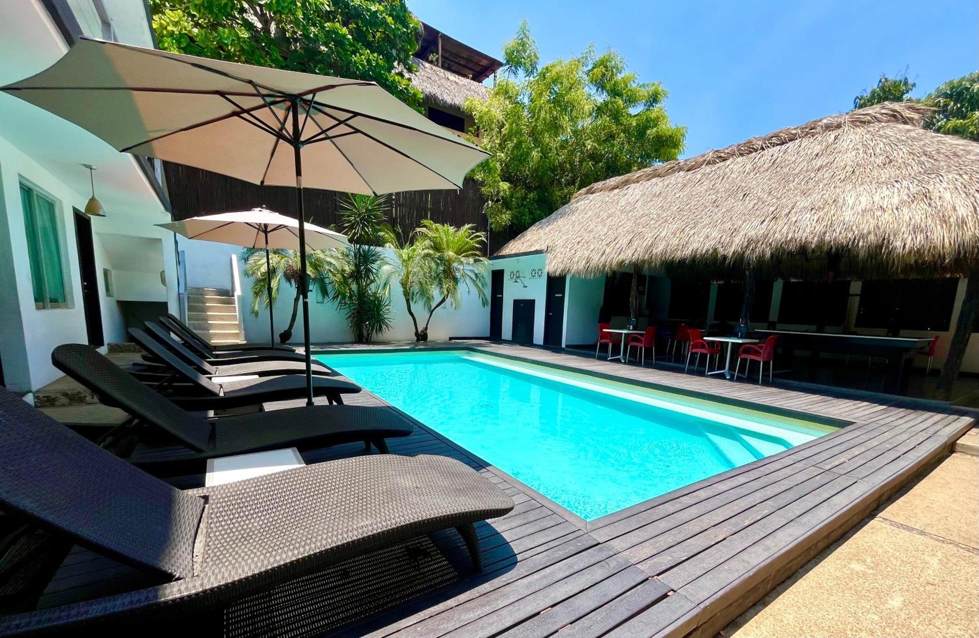 Aqualuna Departamento #aussiepipe