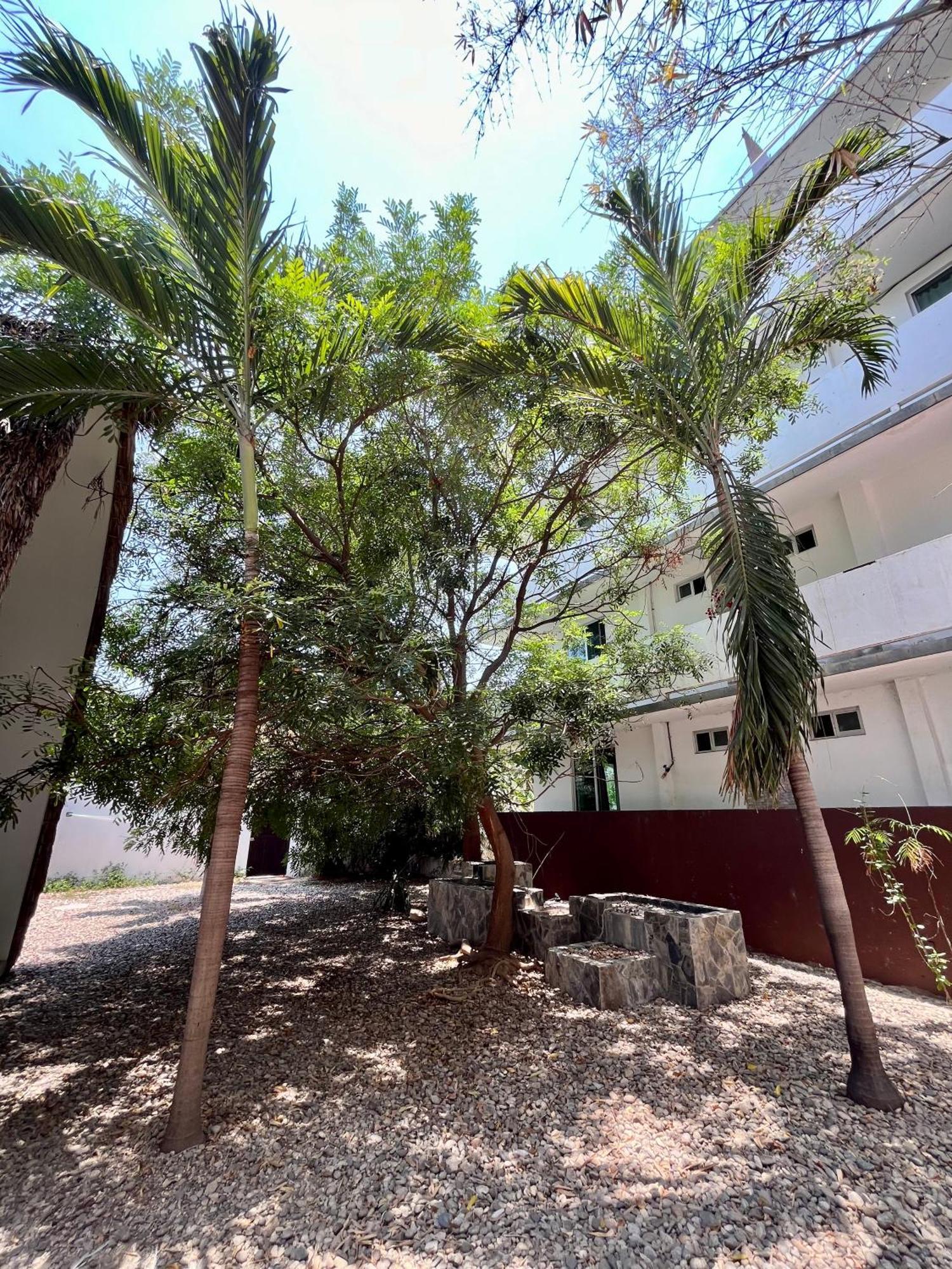 Aqualuna Departamento #aussiepipe Hotel Puerto Escondido (Oaxaca)