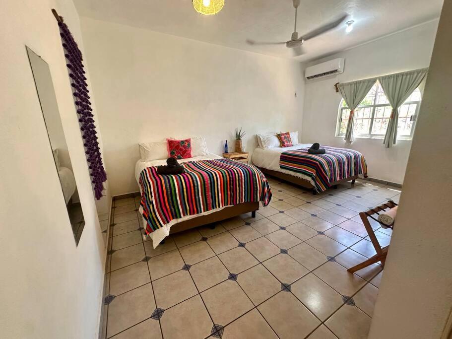 Budget 1br! Prime Location And Starlink Wifi *
