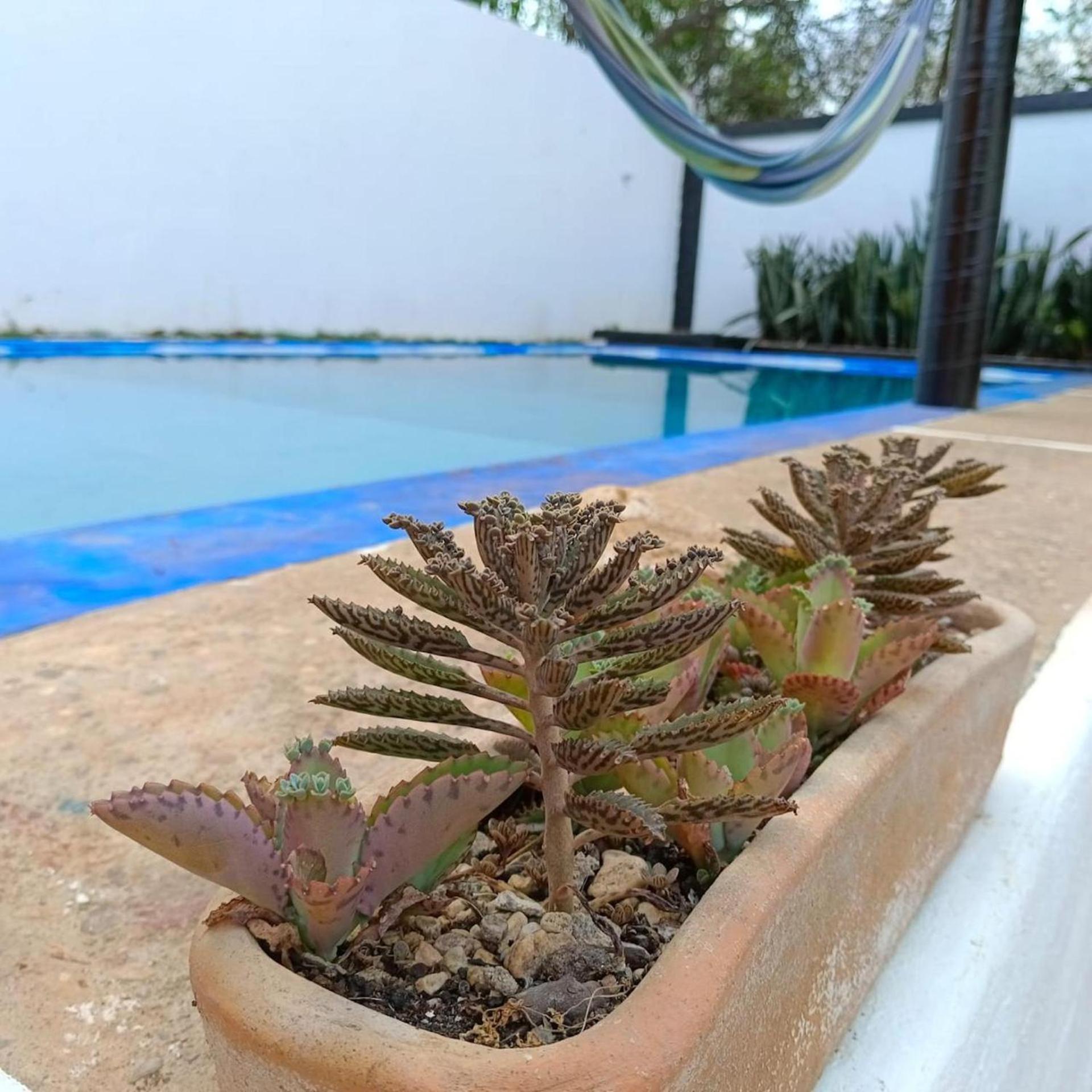 Pensión Casa Tavari Puerto Escondido (Oaxaca)