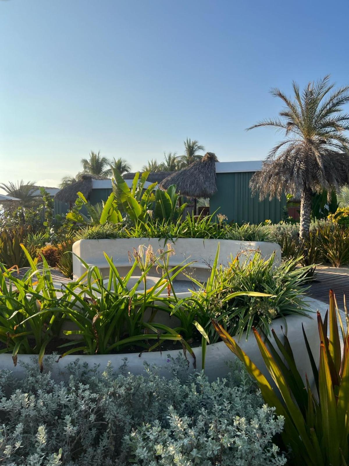 Lu Vee Oasis