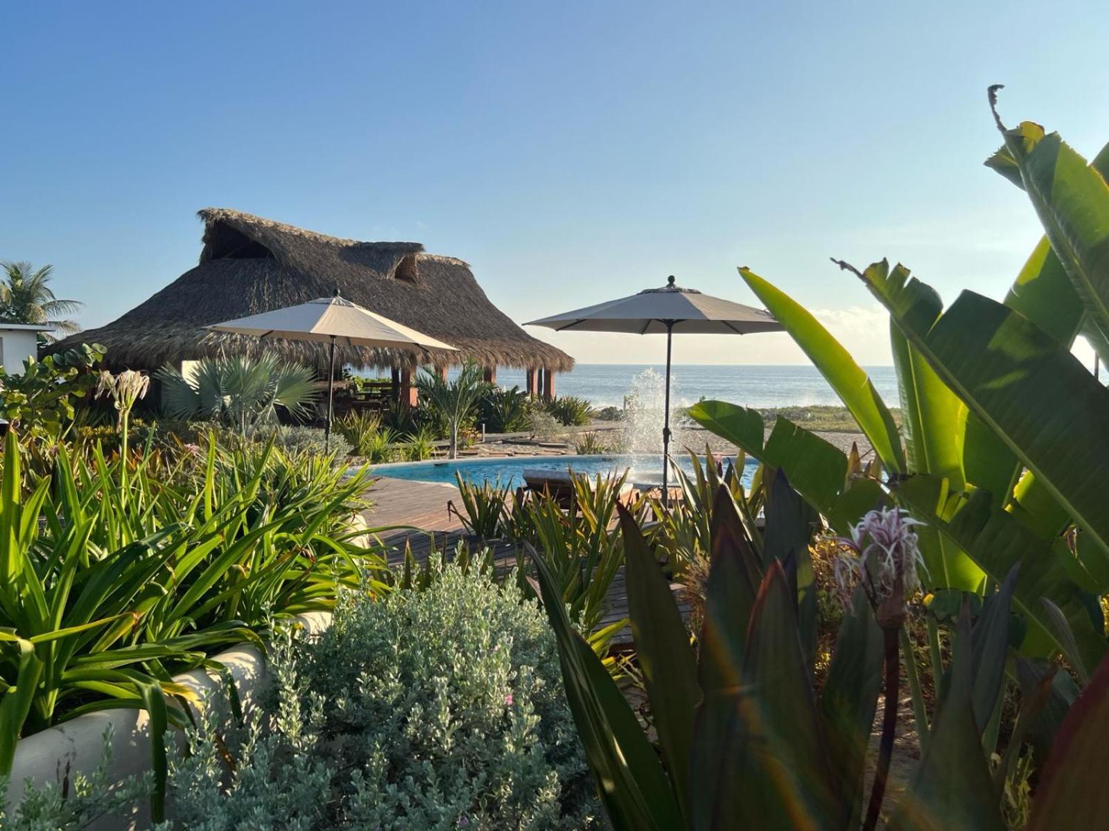 Lu Vee Oasis Puerto Escondido (Oaxaca)