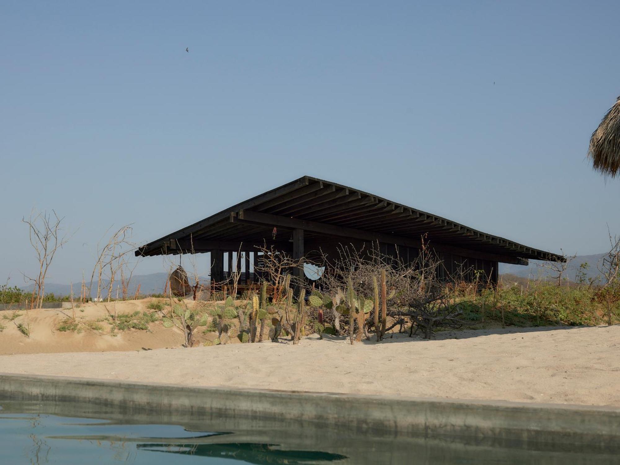Punta Pajaros
