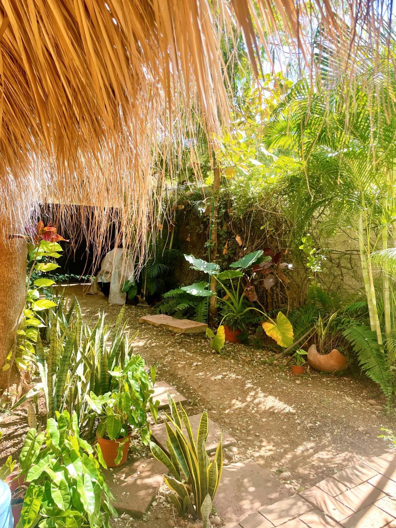 La Puntas Loved With Terrace And Workspace *