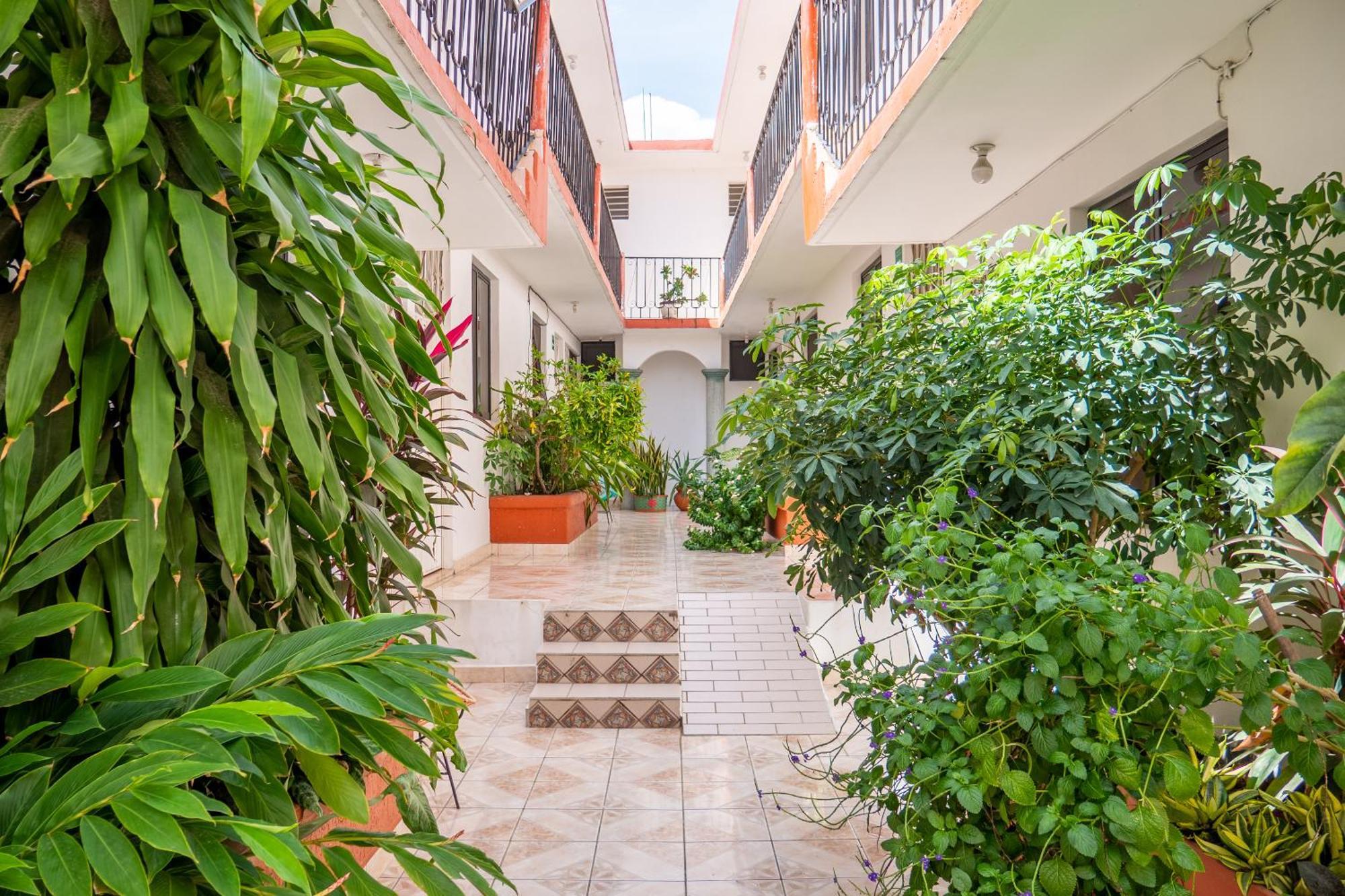 Hotel Arena Surf Hotel, Puerto Escondido Puerto Escondido (Oaxaca)