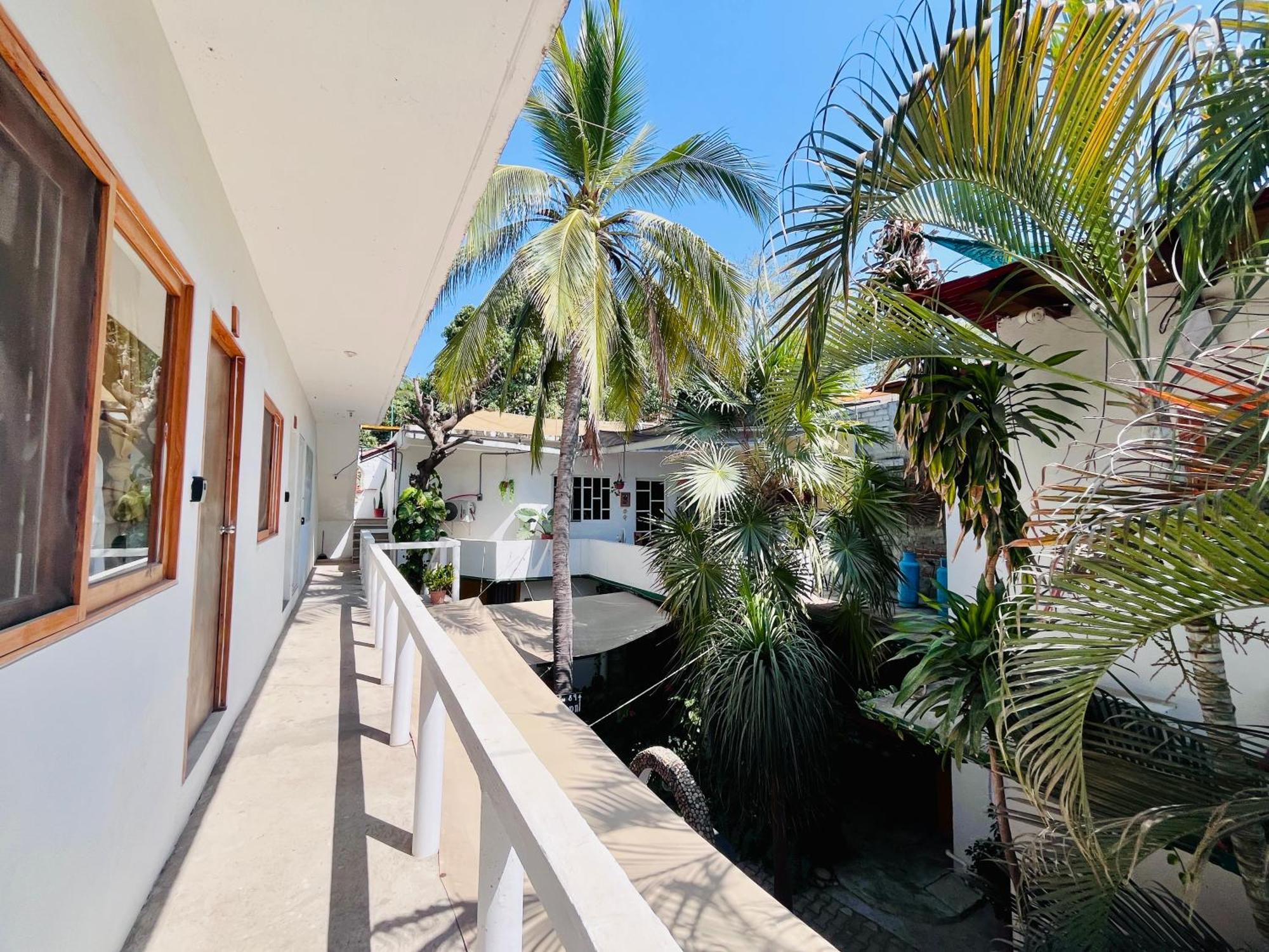 Palmar La Punta 2 Starlink 2min Walk To The * Puerto Escondido (Oaxaca)