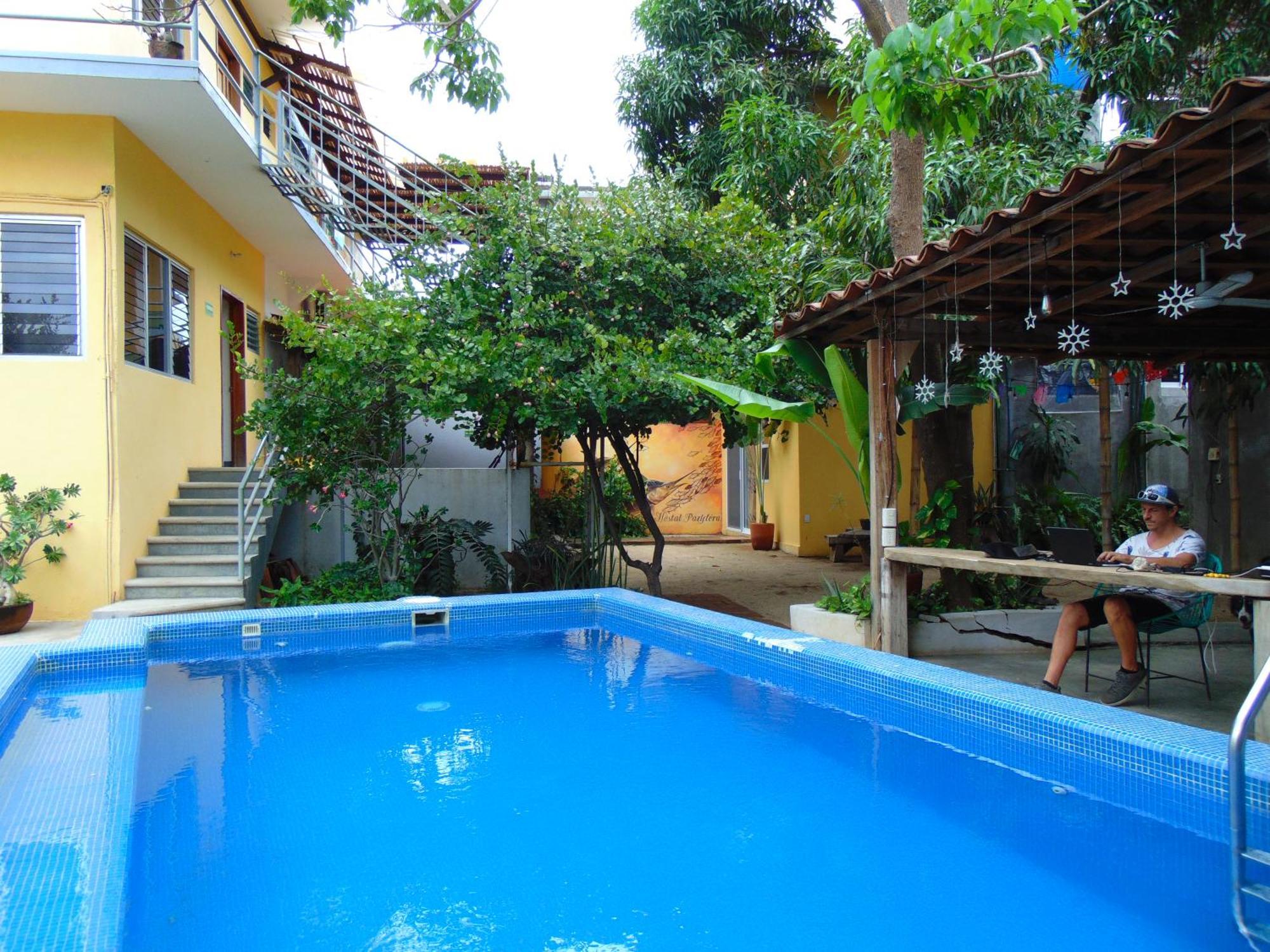 Paziflora -starlink- Puerto Escondido (Oaxaca)